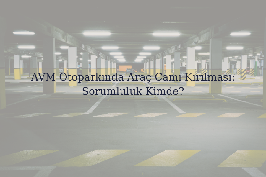 Paragraf metniniz (29)