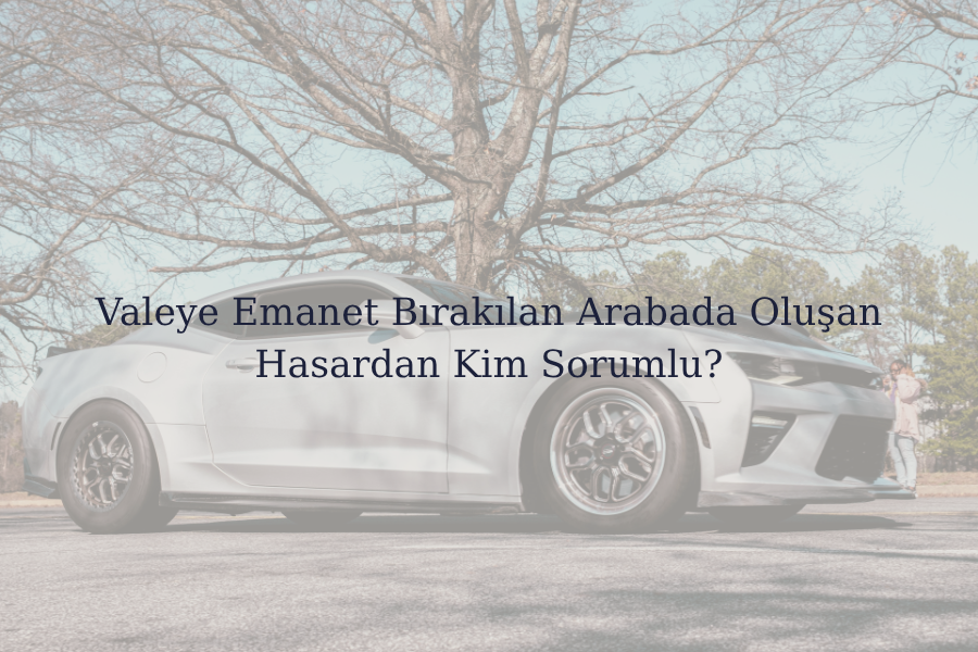 Paragraf metniniz (35)